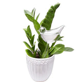 Self-Watering Glass Bird Globe