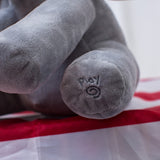 Peek-A-Boo Play & Sing Elephant Plush Toy